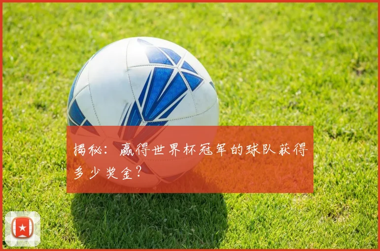 揭秘：赢得世界杯冠军的球队获得多少奖金？